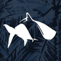 Fish Hippie Coupons Logo