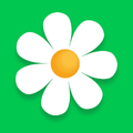 MyFlowers Coupons Logo