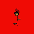 Roses del Fuego Coupons Logo