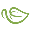 Yum Matcha Coupons Logo