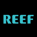 Reef Sandals Coupons Logo