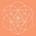 Conscious Items  Coupons