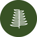 Jackfir  Coupons