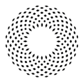 Codex Labs  Coupons