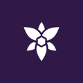 Anuschka Coupons Logo
