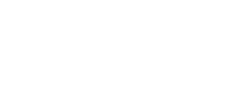 VANS logo
