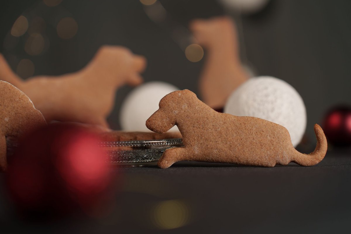 Dog-shaped gingerbread cookies amidst Christmas baubles, perfect for festive baking.