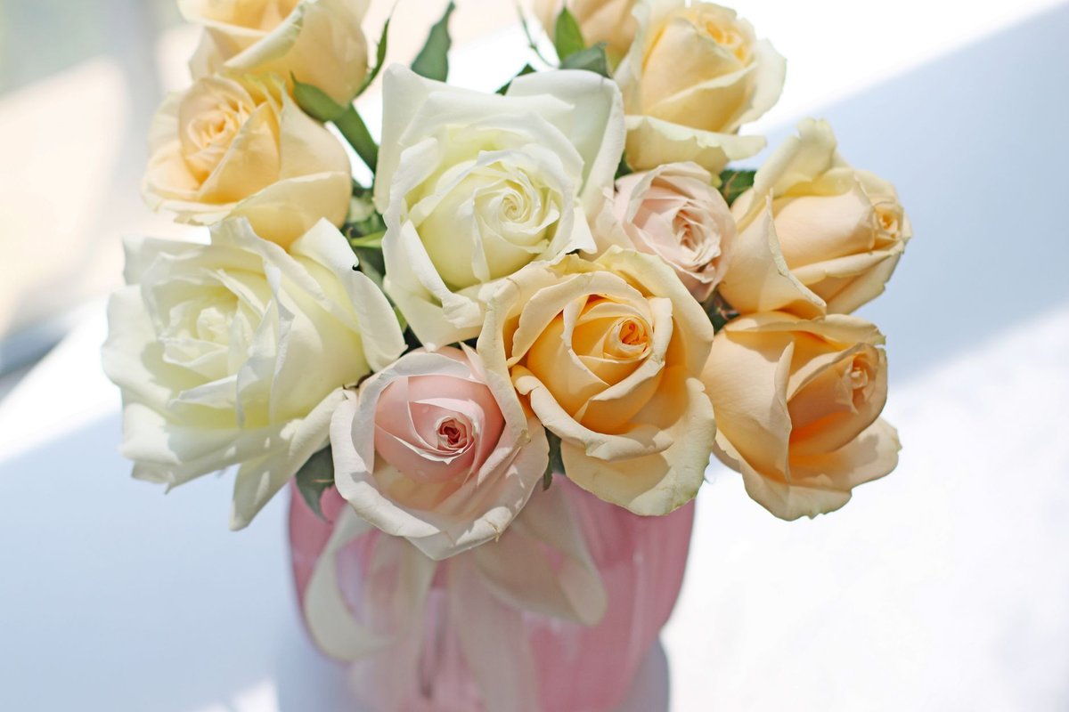 A bouquet of elegant pastel roses displayed in a pink vase, perfect for adding a touch of beauty and freshness.