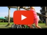 Cruiser Lightweight Balance Bike - Orange