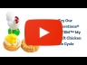 Excellerations® earlySTEM™ My First Soft Chicken Life Cycle - 4 Models