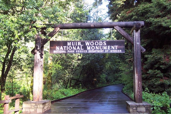 Muir Woods & Sausalito