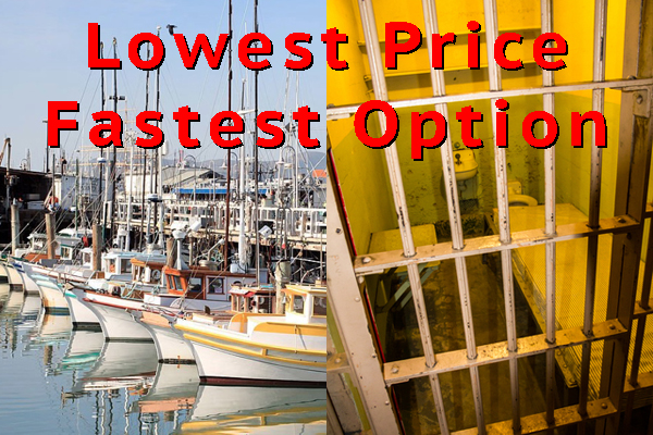 Alcatraz Day Tour + <br/>Wharf Walk