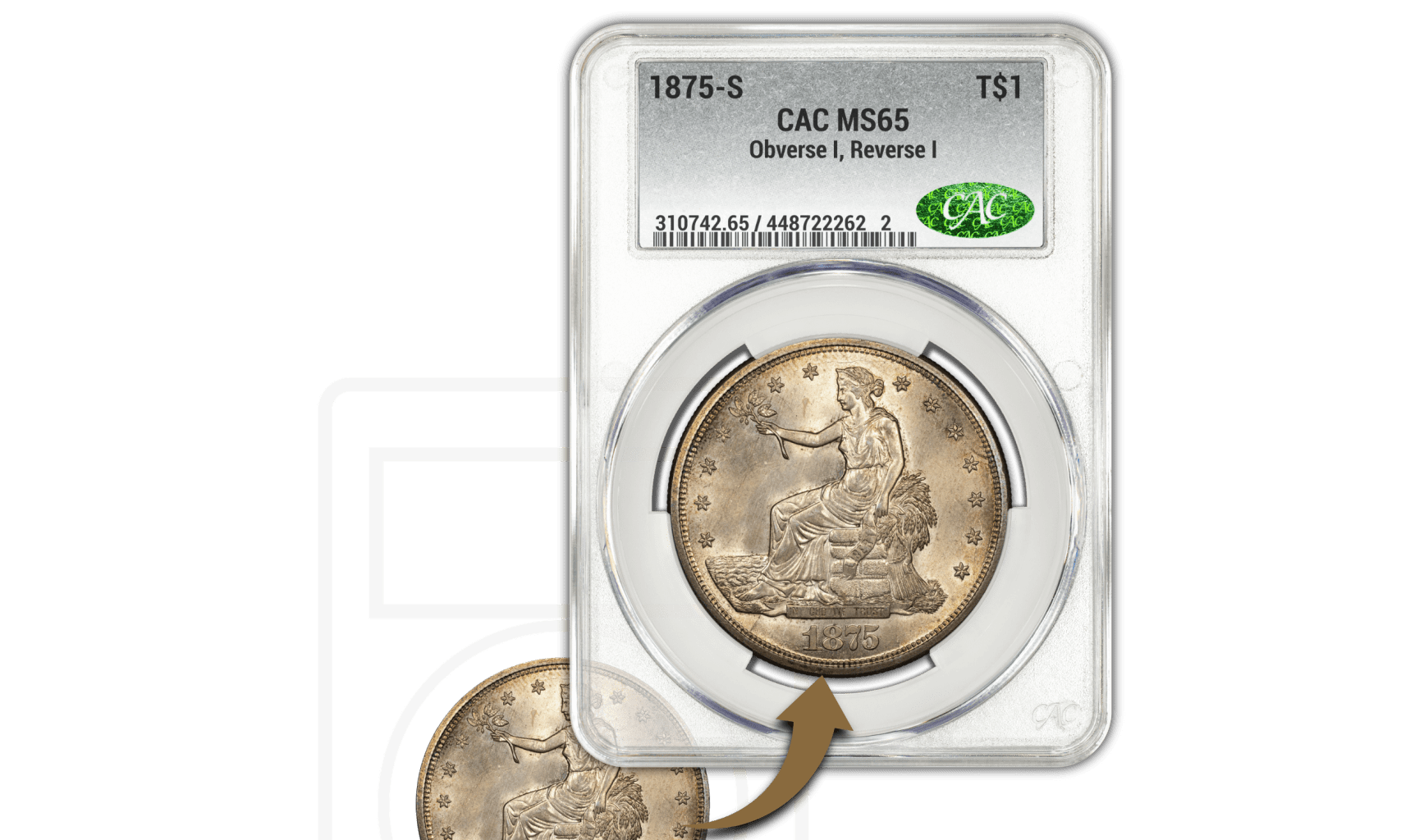 The Trusted Standard in Coin Grading