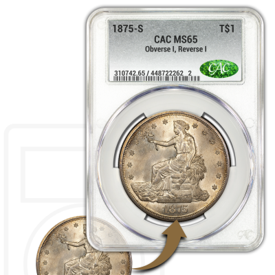 Elevate Your Collection