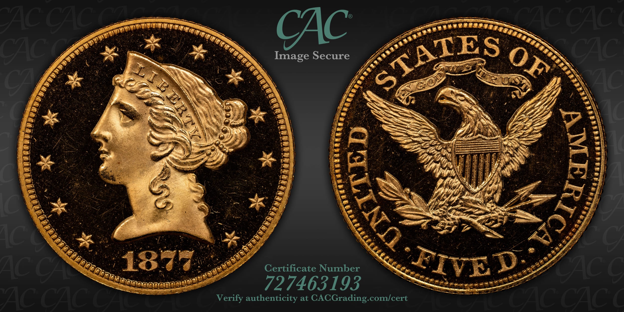 How-About-An-1877-Gold-Proof-Set