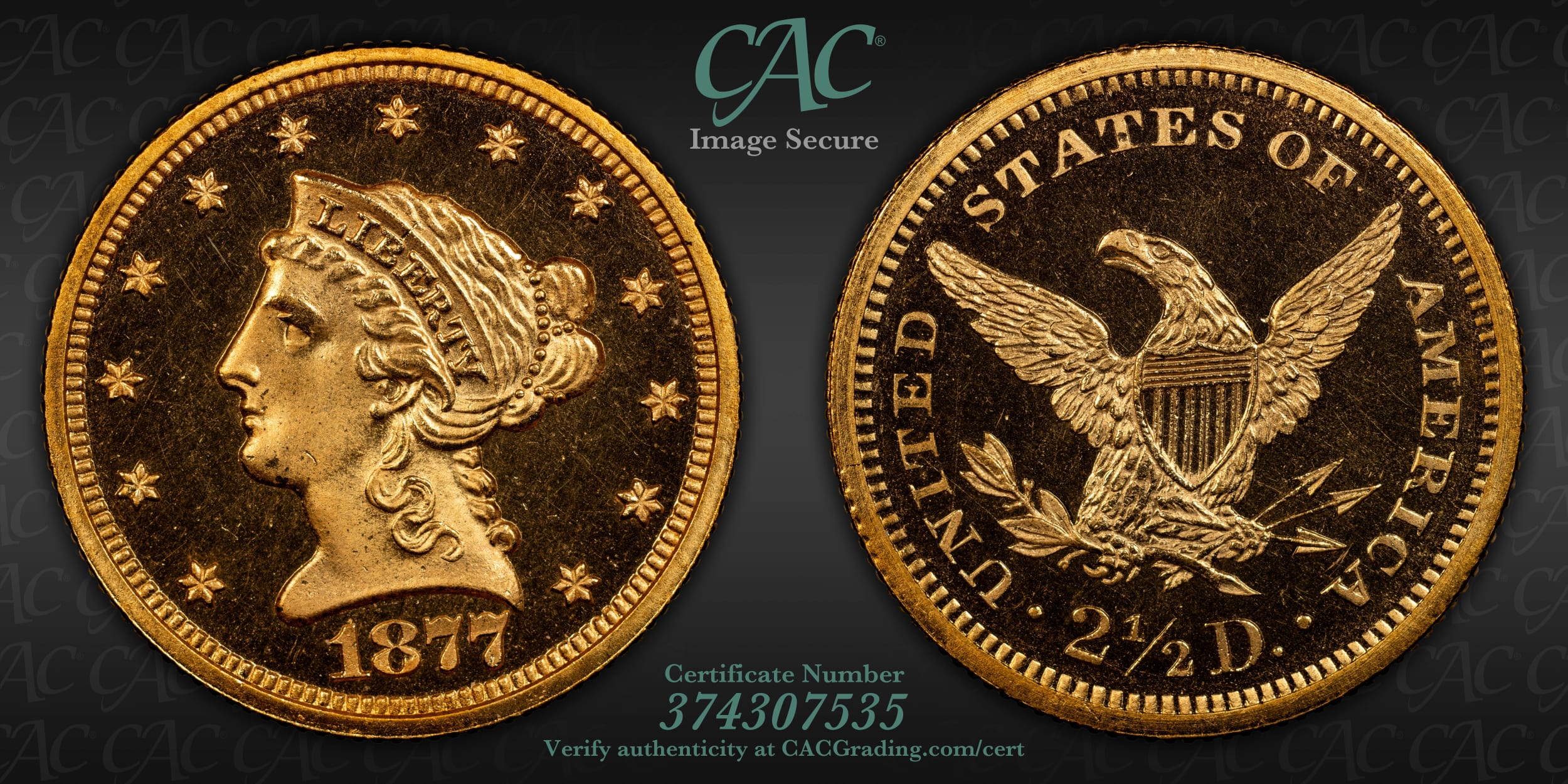 How-About-An-1877-Gold-Proof-Set
