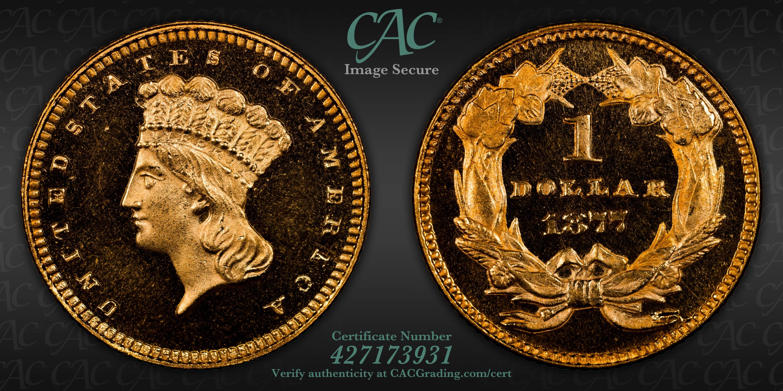 How-About-An-1877-Gold-Proof-Set