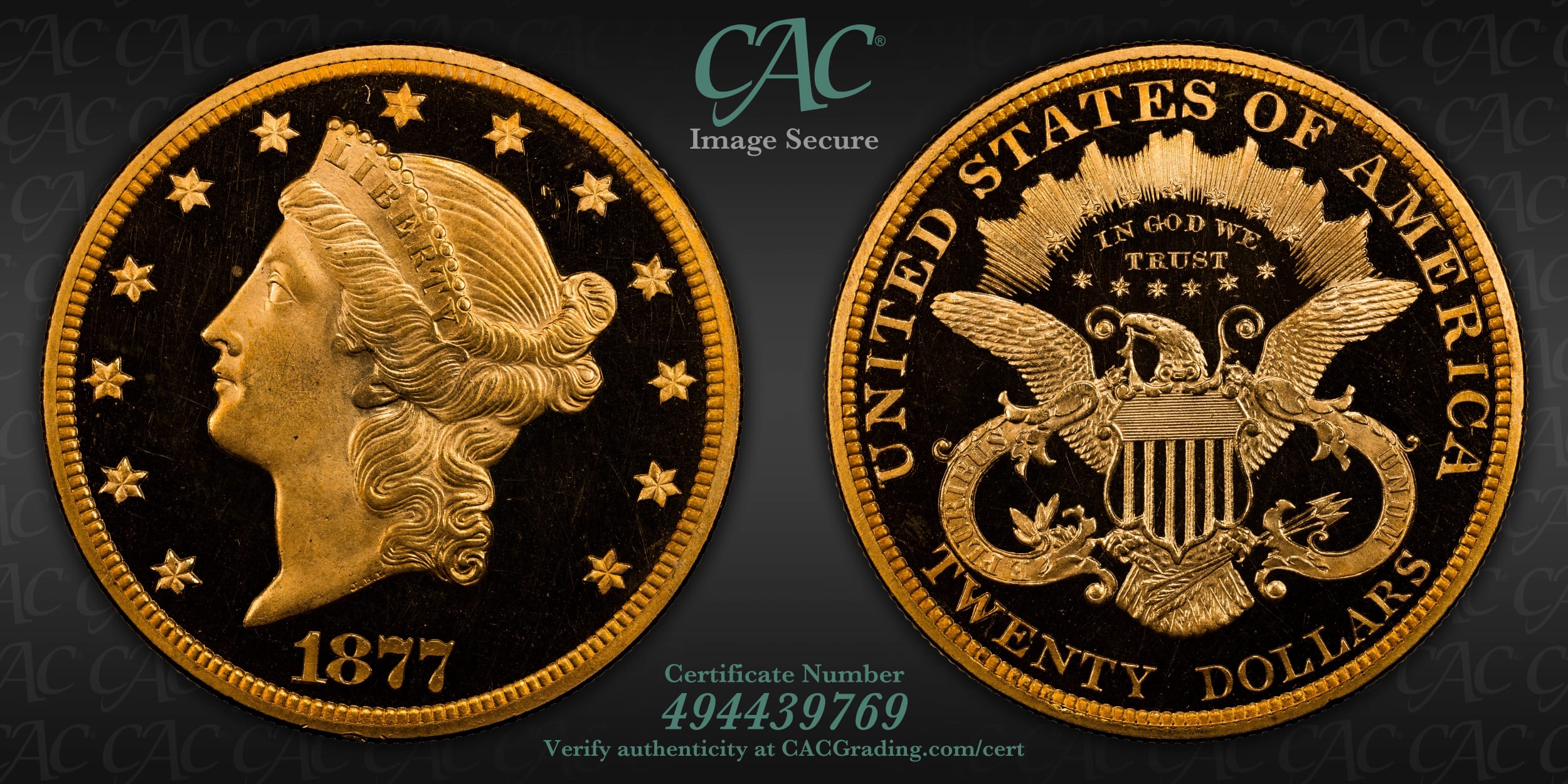 How-About-An-1877-Gold-Proof-Set