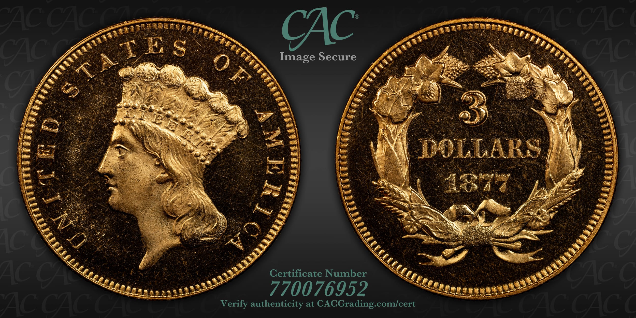 How-About-An-1877-Gold-Proof-Set