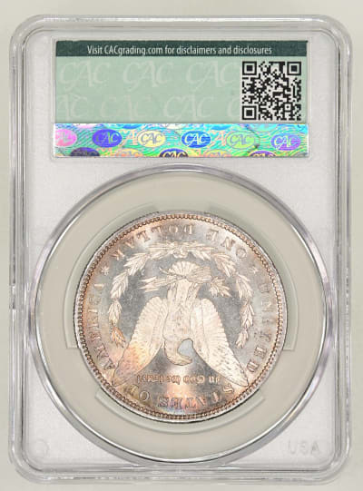 CAC Grading Coin Reverse