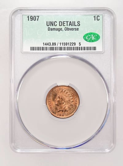 CAC Grading Coin Obverse