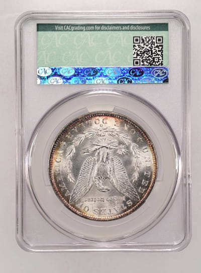 CAC Grading Coin Reverse