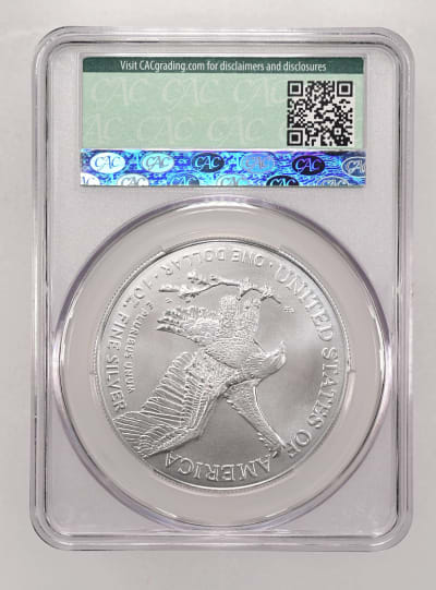 CAC Grading Coin Reverse