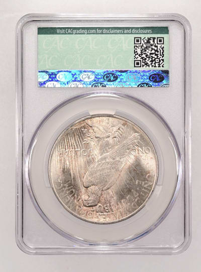 CAC Grading Coin Reverse