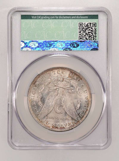 CAC Grading Coin Reverse