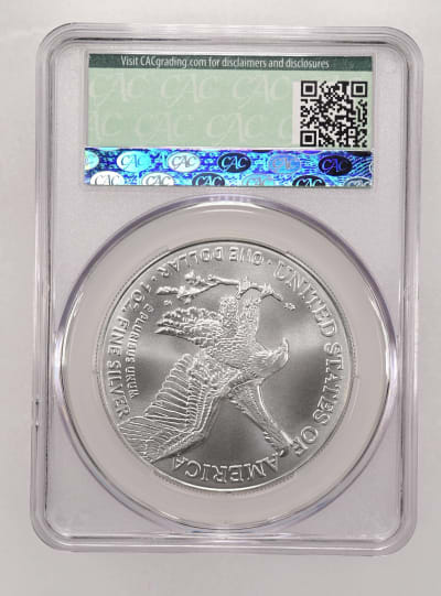 CAC Grading Coin Reverse