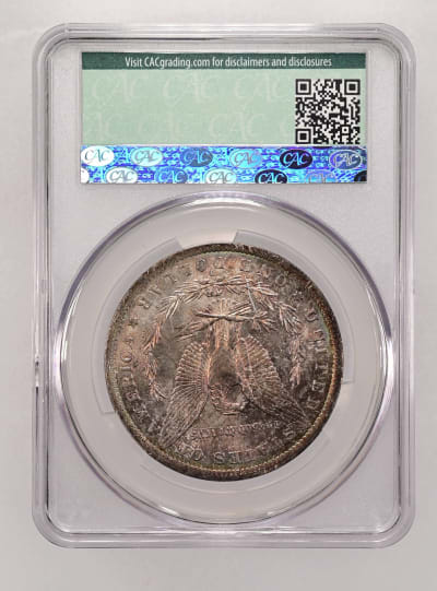 CAC Grading Coin Reverse