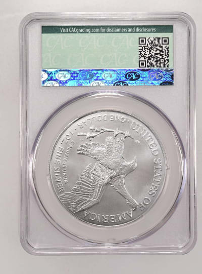 CAC Grading Coin Reverse