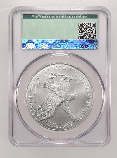 CAC Grading Coin Reverse