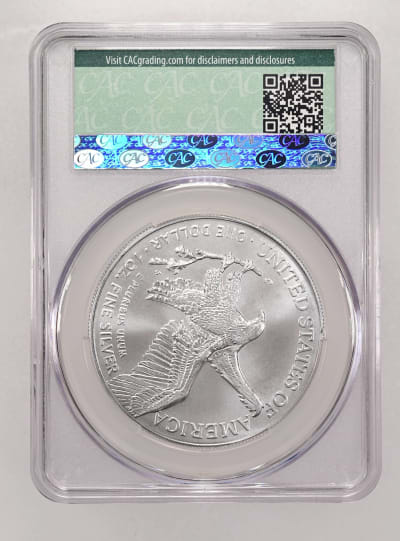 CAC Grading Coin Reverse