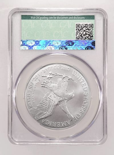 CAC Grading Coin Reverse