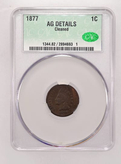 CAC Grading Coin Obverse