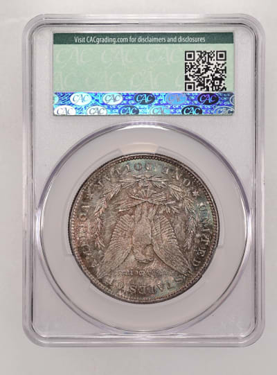 CAC Grading Coin Reverse