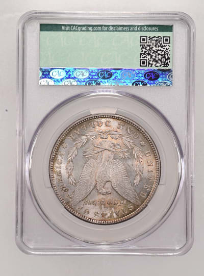 CAC Grading Coin Reverse