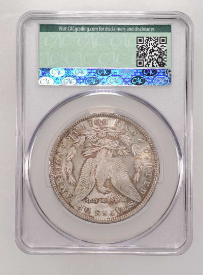 CAC Grading Coin Reverse