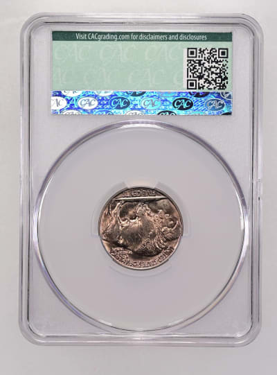 CAC Grading Coin Reverse