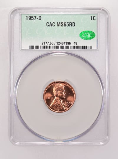 CAC Grading Coin Obverse