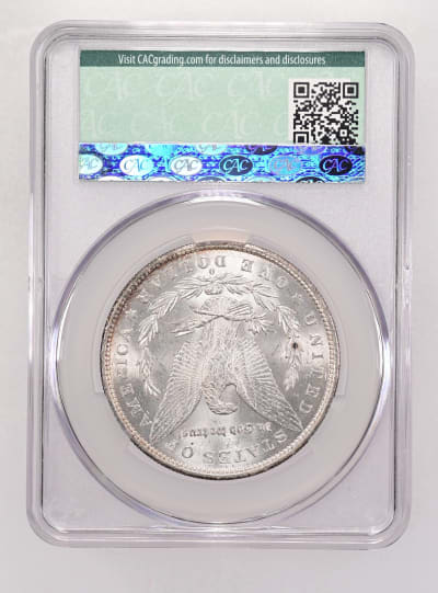 CAC Grading Coin Reverse