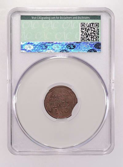 CAC Grading Coin Reverse