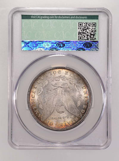 CAC Grading Coin Reverse