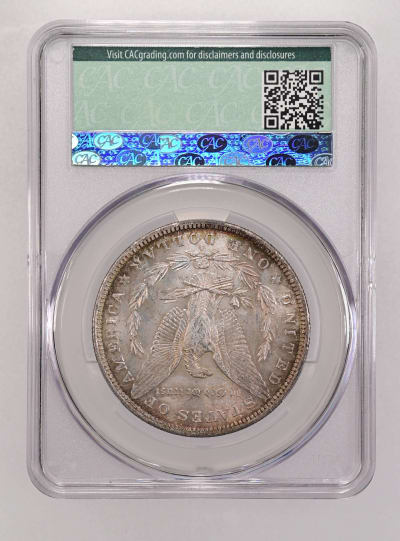 CAC Grading Coin Reverse