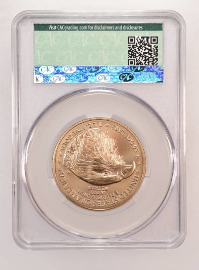 CAC Grading Coin Reverse