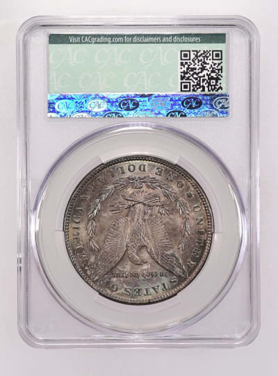 CAC Grading Coin Reverse