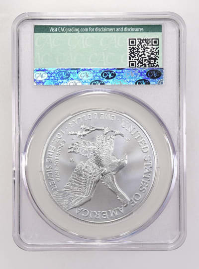 CAC Grading Coin Reverse