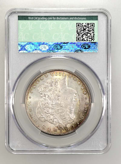 CAC Grading Coin Reverse