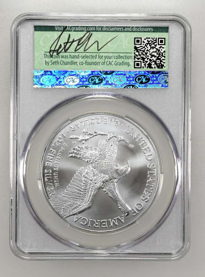 CAC Grading Coin Reverse